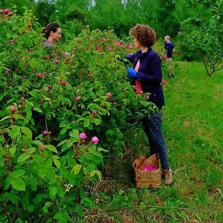 Agriturismo Ca' Du Chittu 农家乐