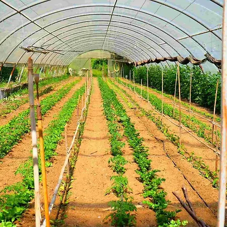 Agriturismo Ca' Du Chittu 农家乐 Carro