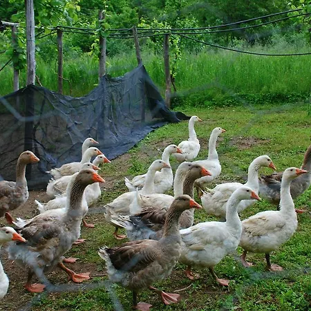 Agriturismo Ca' Du Chittu *