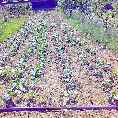 Agriturismo Ca' Du Chittu
